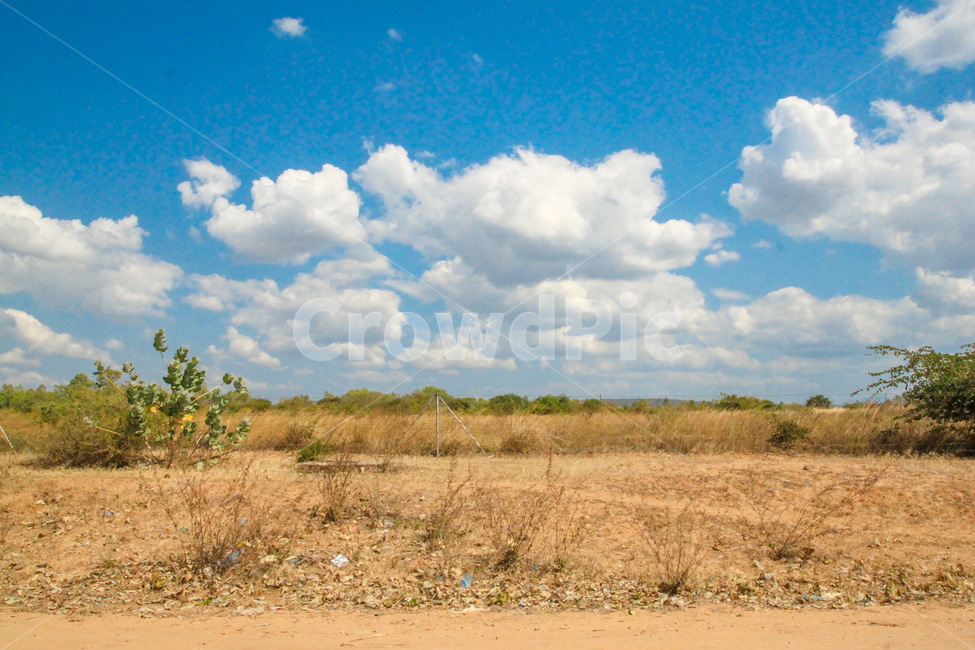 하늘,아프리카,원두막,들판,구름,가을,sky,africa,malawi,cloud