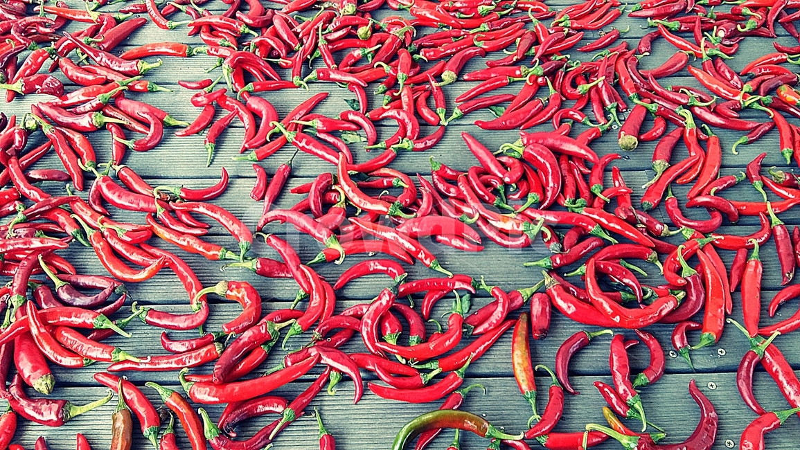 고추,채소,야채,태양초,빨간,가을,음식,말린,음식,식재료,요리,food,cook,meal,dishes,food reserves,채소,야채,vegetables