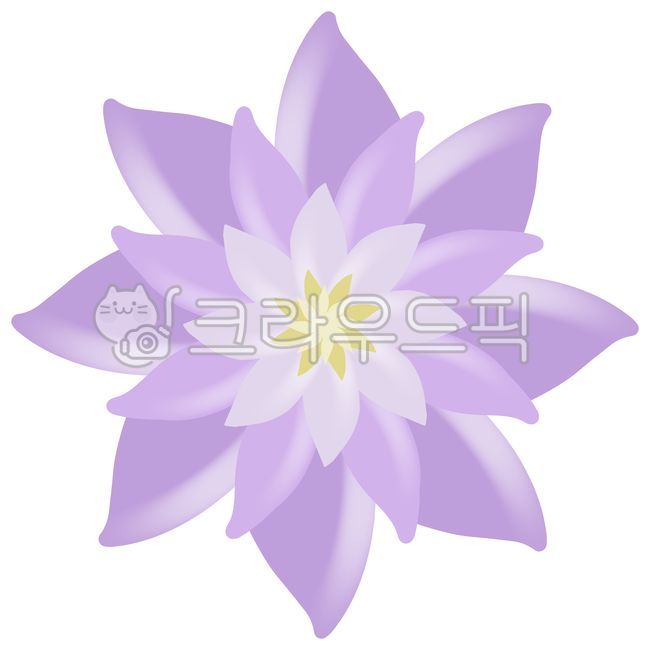 floral pattern,pattern,purple,flower