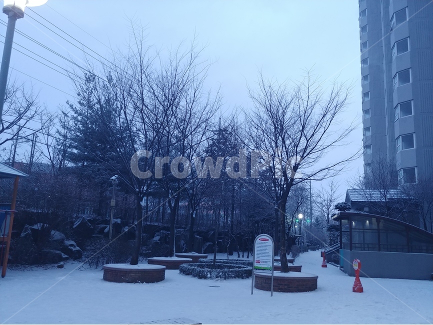 겨울,나무,건물,놀이터,하늘,tree,building,sky,winter,playground,겨울,계절,winter,season,도시,풍경,city,landscape,한국도시풍경,한국도시경관,korea cityscape,nature,자연,outdoors,옥외