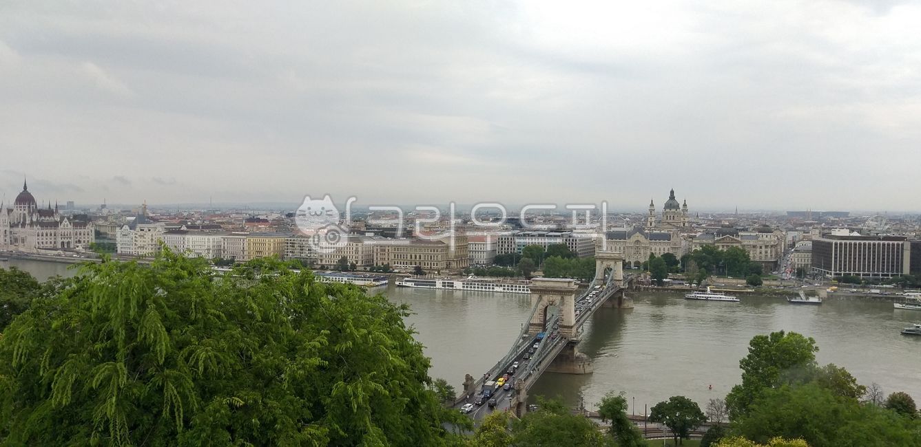 헝가리,부다페스트,유럽,강,자연,호수,나무,outdoors,옥외,nature