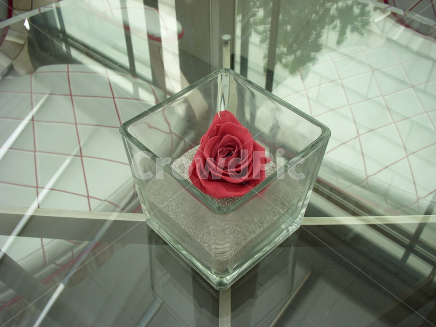 rose,장미,꽃,flower,blossom,인테리어소품,interioraccessory,장식소품,decoration