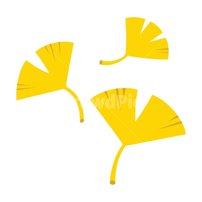 가을,은행잎,노랑,나뭇잎,낙엽,자연,계절,plant,autumn,fall,식물,design,season,잎,leaf,leaves,illustration,그래픽,디자인,일러스트,일러스트레이션,graphic,식물,자연,plants,nature,그래픽,일러스트레이션,graphic,illustration