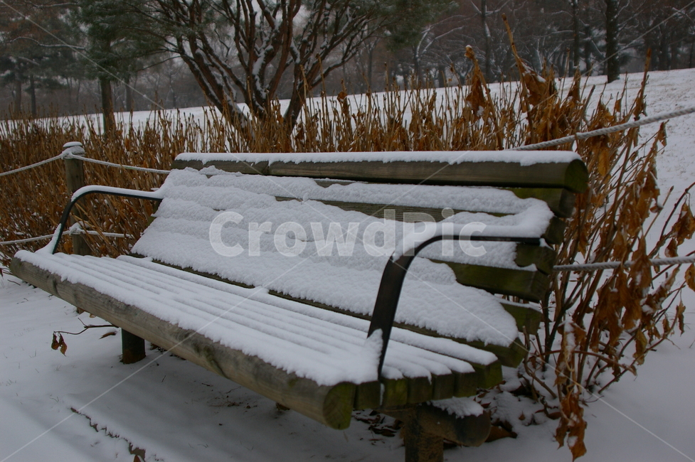 여의도공원,눈,눈내린후,쌓인눈,겨울,여의도,bench,벤치,parkbench,공원벤치,감성사진