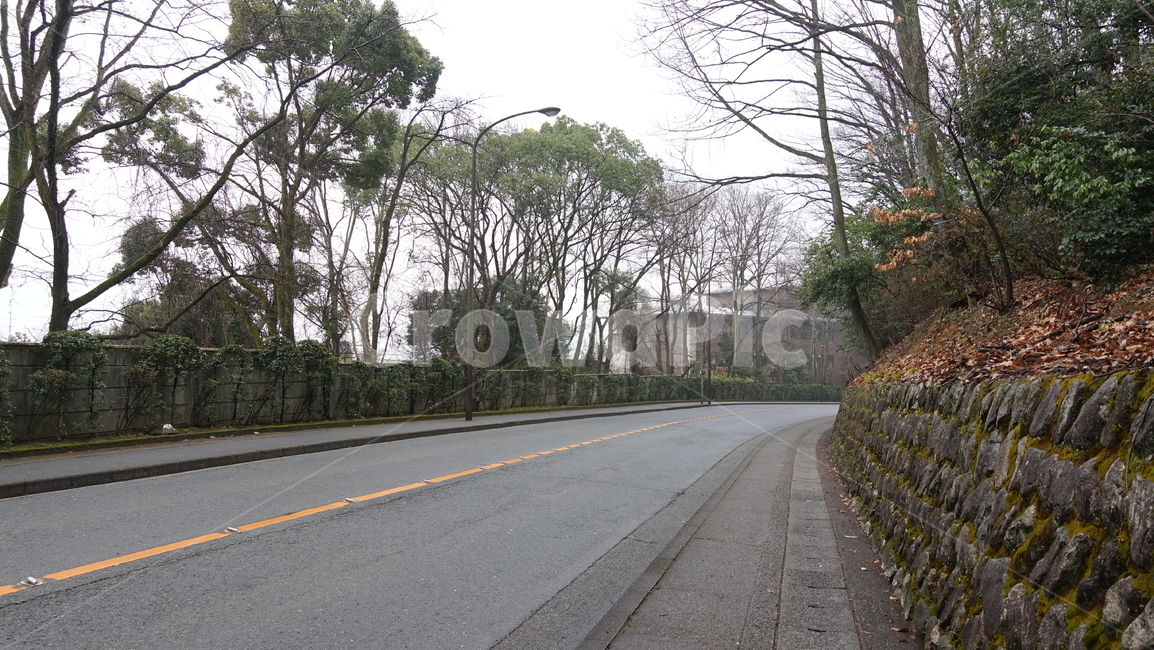 길,도로,road,fog,산길