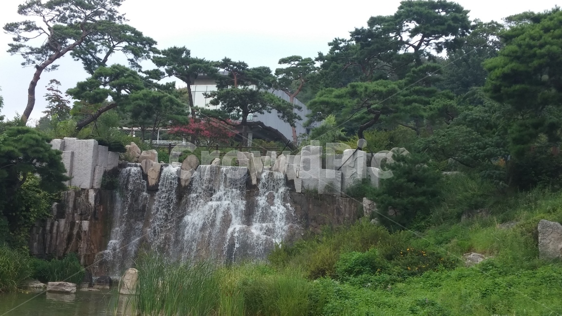 북서울꿈의숲,소나무,폭포,숲,여름