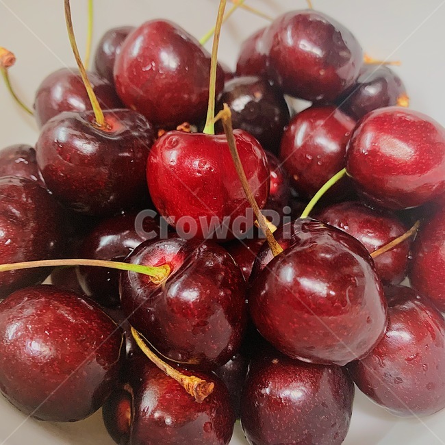 음식,과일,빨강,빨간색,체리,cherry,food,fruit,red,음식,식재료,요리,food,cook,meal,dishes,food reserves,과일,열매,fruit