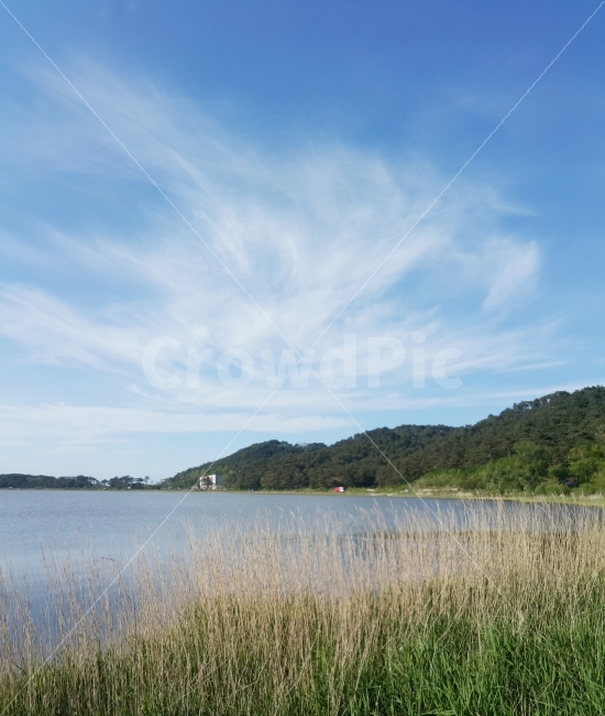 화진포,호수,갈대하늘,하늘호수,푸른하늘,자연,풍경,nature,landscape,water,물,outdoors,옥외,reservoir,저수지