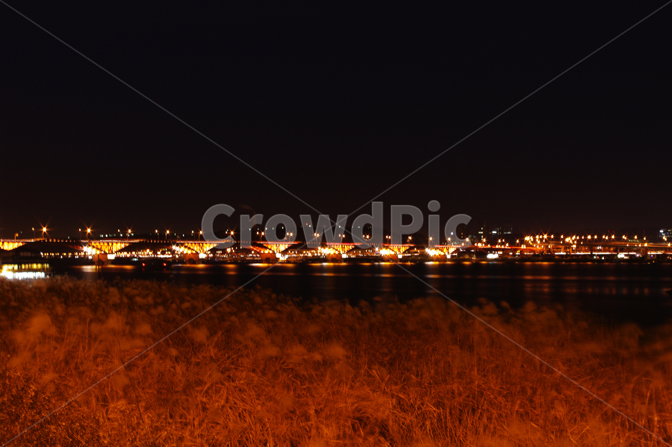 도시,서울,한강,공원,야경,다리,불빛,억새밭,야경,밤,풍경,nightscape,night,landscape,건축물,건물외관,exterior,building,structure,architecture,construction