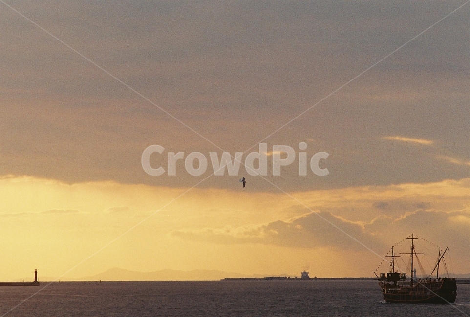 조류,노을풍경,노을바다,바다,배,sea,ship,bird