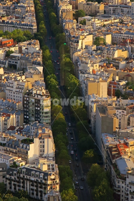 프랑스,파리,파리풍경,파리조감도,조감도,파리경치,도로,가로수,해외,외국,세계,foreign,oversea,world