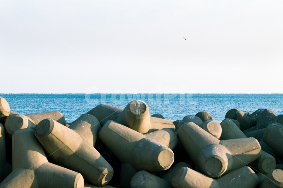 바다,방파제,풍경,감성,스냅,자연,풍경,nature,landscape,wood,나무
