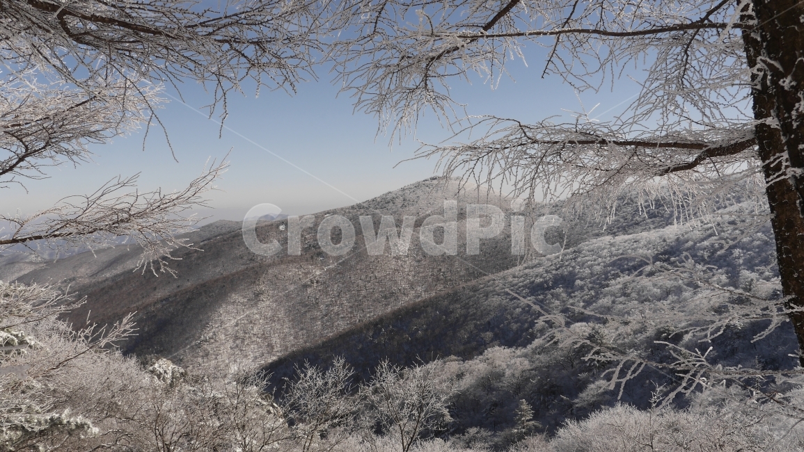 겨울산,눈꽃,눈산,겨울,풍경,경치,자연,여행,태백산,겨울,계절,winter,season,자연,풍경,nature,landscape,한국자연풍경,한국자연경관,korea nature landscape,outdoors,옥외,tree,나무,plant,식물,ice,얼음