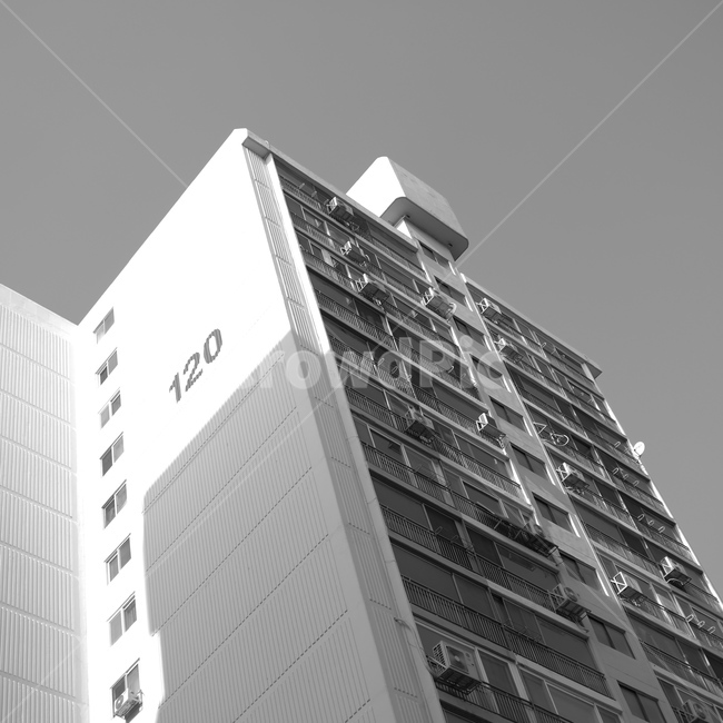 아파트,apartment,건물,흑백사진,building
