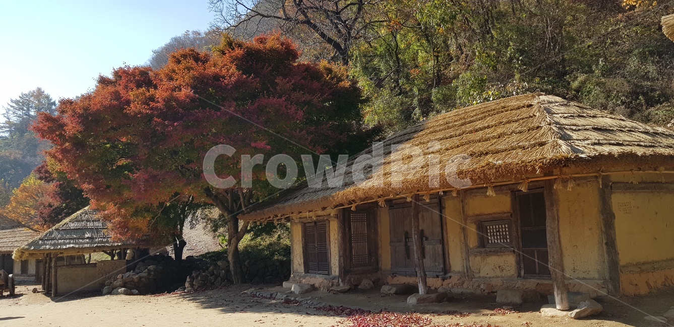 가을,호수,낙엽,청풍호,낭만,시골,마을,풍경,landscape,country,rural,town,한국전통,한국문화,korean traditional,korean culture