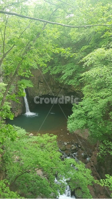 폭포,cascade,falls,나무,tree,숲,forest,자연,풍경,nature,landscape,water,물,outdoors,옥외