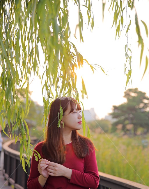 버들나무,여성,여자,옆모습,사람,인물,인간,나뭇잎,사람,인물,인간,human,person,여성,여자,woman,female,lady,감성,sensible,feeling,휴식,힐링,rest,relaxation,healing