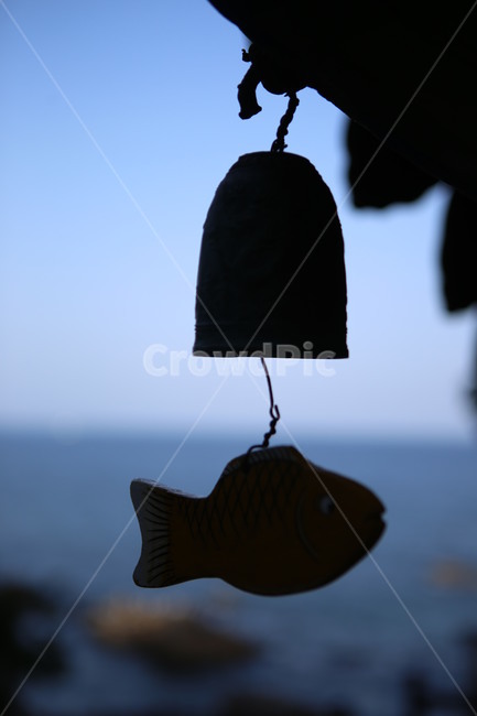 물고기모형,하늘,sea,모형,종,지붕