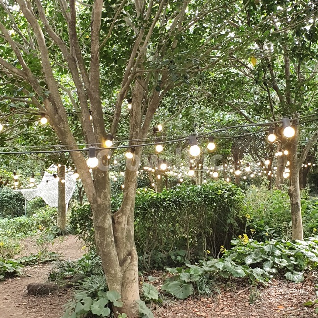 outdoors,옥외,garden,정원,조명,lighting