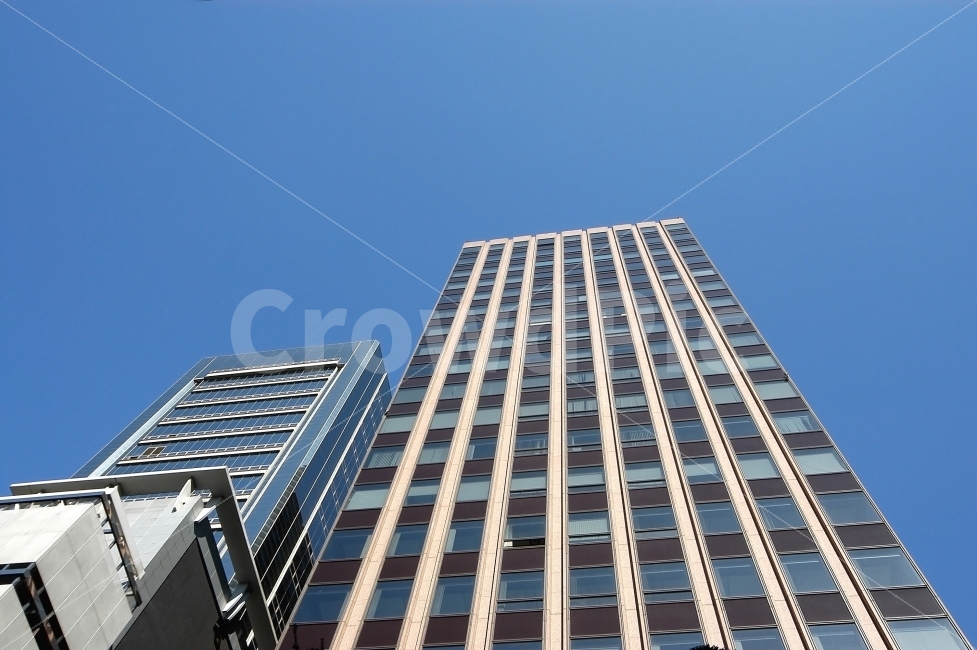 빌딩,비지니스,비즈니스,고층빌딩,도시,건축,건축물,건물,building,business,회사,사무실,오피스,부동산,도심,로우앵글,도시,풍경,city,landscape,건축물,건물외관,exterior,building,structure,architecture,construction,비즈니스,사업,business,service,work,금융,돈,finance,banking,money,office building,사무실 건물,town,시티,high rise,고층 건물,urban,어반