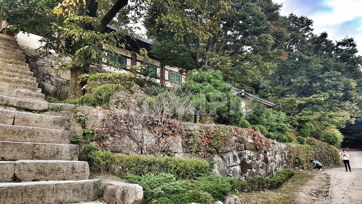 한옥,부석사,돌계단,나무,자연,조경,전통가옥,절,돌담