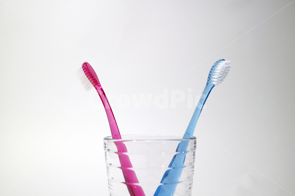 칫솔,양치,건강,라이프스타일,오브젝트,누끼,생활,위생,보건,예방,건강관리,컵,사물,물건,오브젝트,thing,object,matter,누끼,remove background