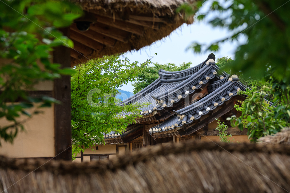 선비촌,기와집,한옥,한옥마을,지붕,건물,전통적인,문화,한국전통,한국문화,korean traditional,korean culture,건축물,건물외관,exterior,building,structure,architecture,construction