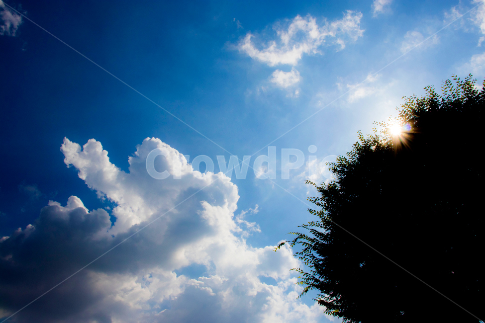 하늘,구름,나무사이태양,파랑,가을,자연,풍경,nature,landscape,outdoors,옥외,sky,azure sky,푸른 하늘
