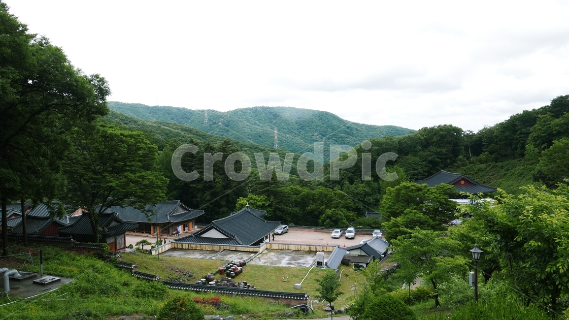 파주보광사,절,풍경,자연,스님