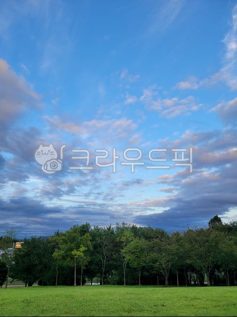 Beautiful sky,beautiful clouds,autumn sky,trees,forest,clouds,sky,blue background,pretty background,sky blue background,spring background