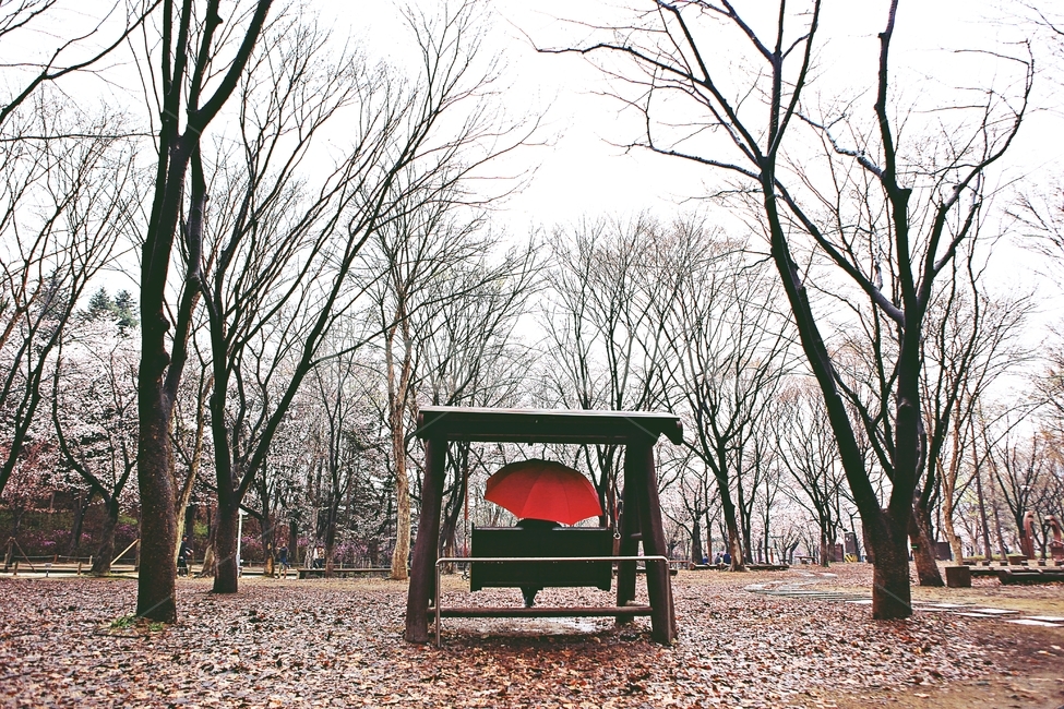 그네,빨강우산,공원,인천대공원,자연,배경