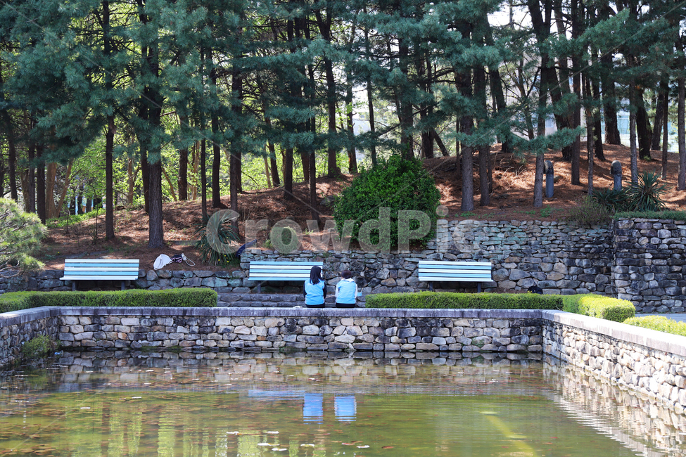 충남대,연못,그림자,물,pond,lake,캠퍼스,나무,풍경,벤치