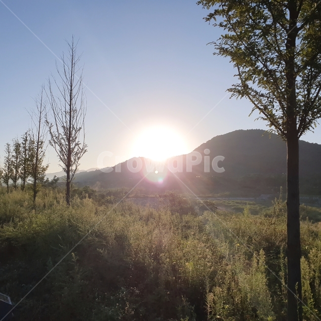 빛,light,산,자연,일출,풍경,자연,풍경,nature,landscape,flare,플레어