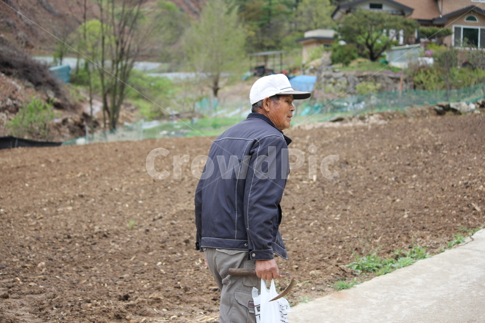 농업,농부,밭,시골,agriculture,마을