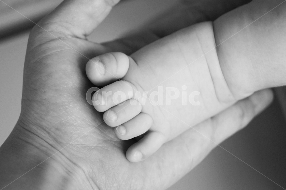 아기,아가,발,흑백,감성,스냅,기념,신생아,출산,baby,인물,선물,가족,생명,아이,사람,인물,인간,human,person,신체일부,몸,body,가족,패밀리,family,영유아,아기,애기,아이,infants,baby,감성,sensible,feeling,흑백,모노톤,monochrome,black and white