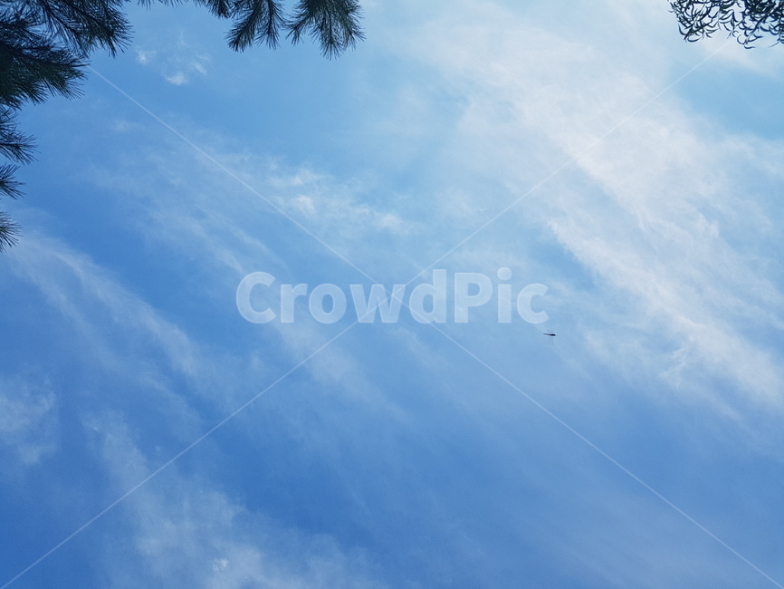 하늘,구름,sky,파란색,cloud,skyblue