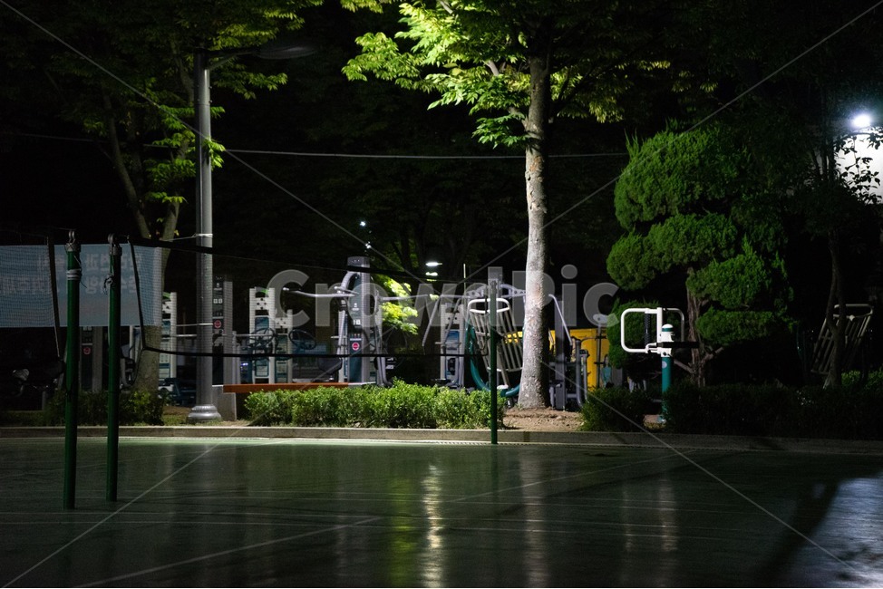 밤,가로등,공원,산책로,배드민턴,나무,풍경,새벽,야경,밤,풍경,nightscape,night,landscape