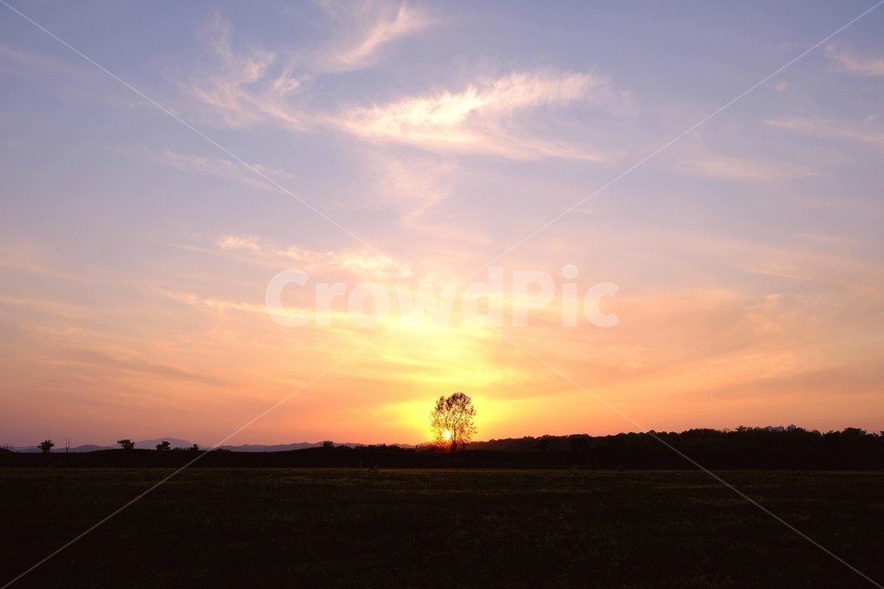 노을,나무,풍경,지평선,sunset,잔디,저녁,해질녘
