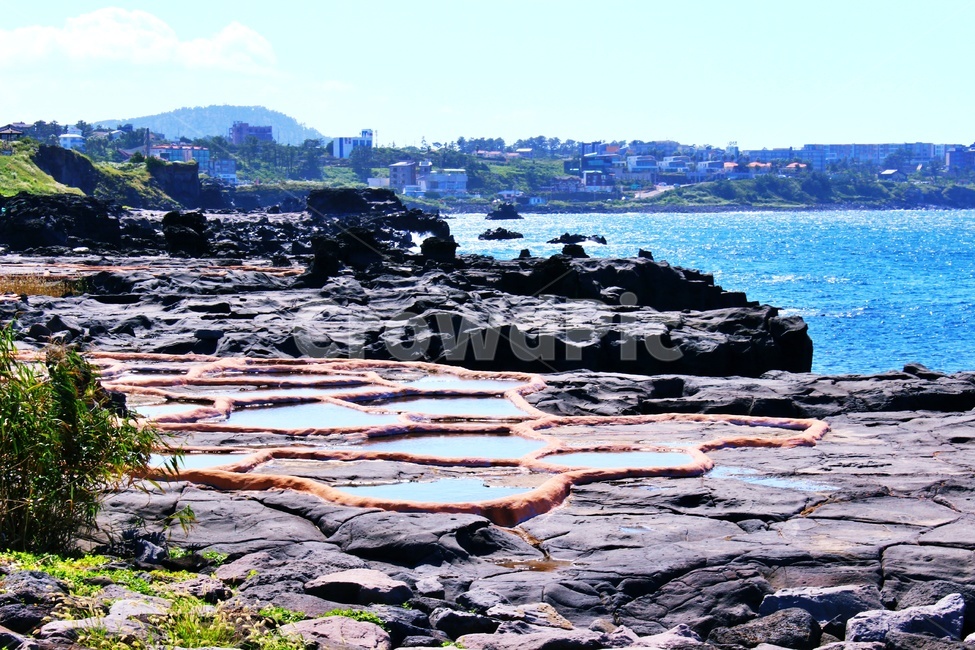 nature,자연,flagstone,판석,제주도,제주도,jeju,jeju island