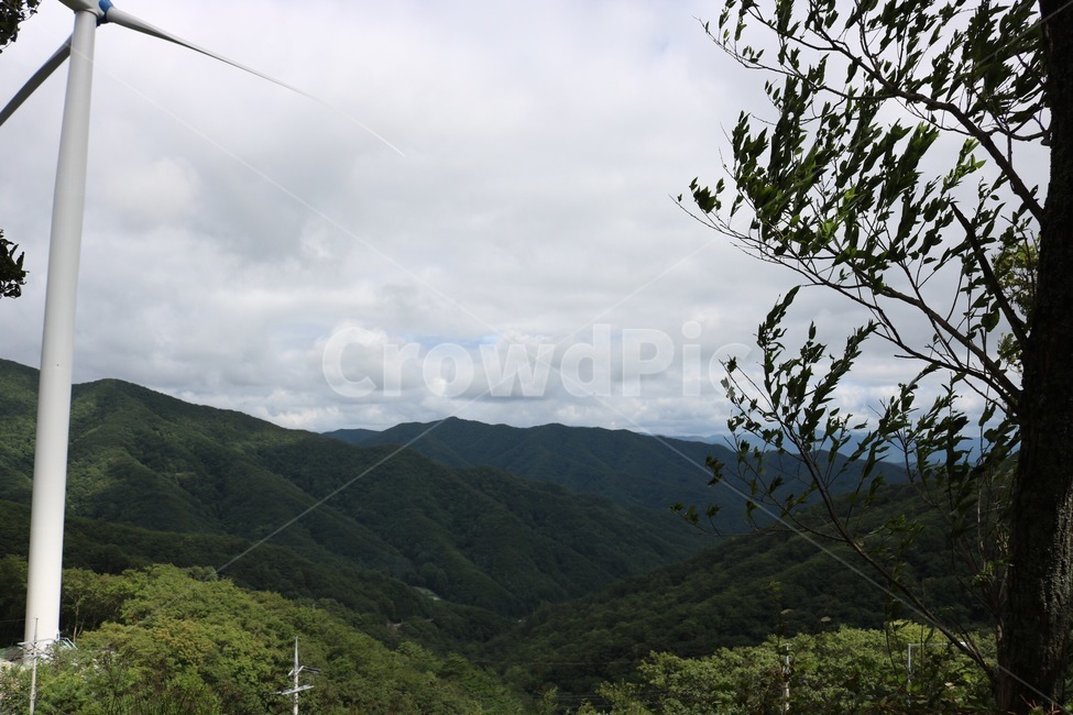 여름,휴가,강원도,산,나무,하늘,자연,풍경,식물,푸름,summer,natsu,vacation,kyuuka,mountain,yama,tree,ki,sky,sora,nature,plants,shokubutsu,초록,green,midori,산맥,구름,cloud,kumo,풍력발전기,전기,흰색,white,shiro,자연,풍경,nature,landscape,한국자연풍경,한국자연경관,korea nature landscape,산업,industry,industrial,에너지산업,energy industry,slope,경사,outdoors,옥외