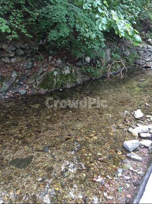 개울,계곡,투명한,물,한적한