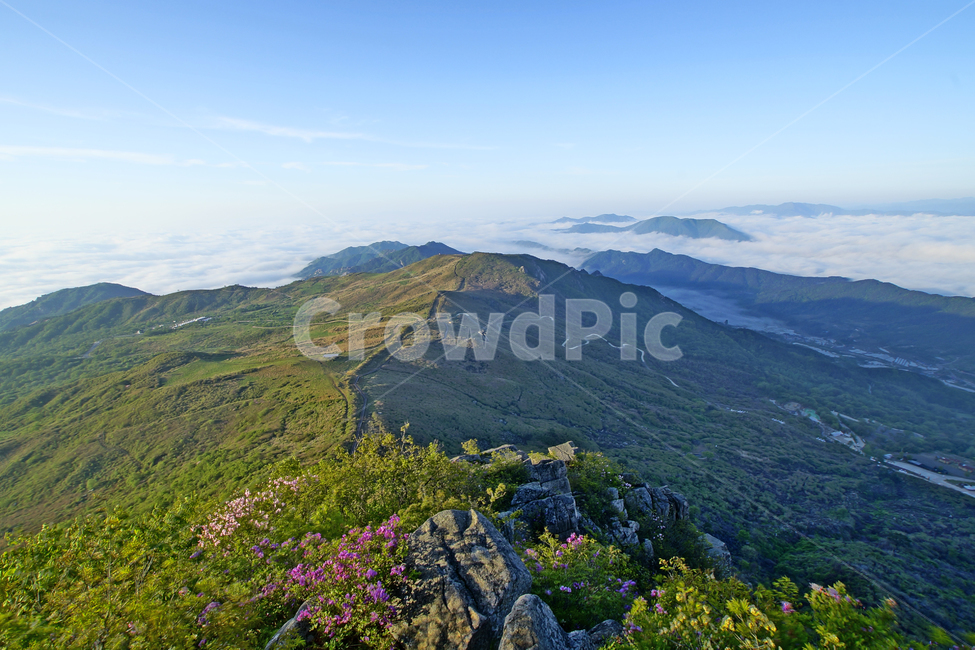 황매산,합천군,철쭉,풍경,산,자연,풍경,nature,landscape,outdoors,옥외