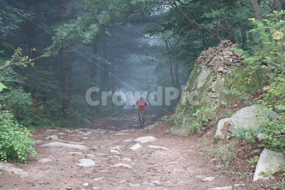 등산,산행,운무,여자,풍경