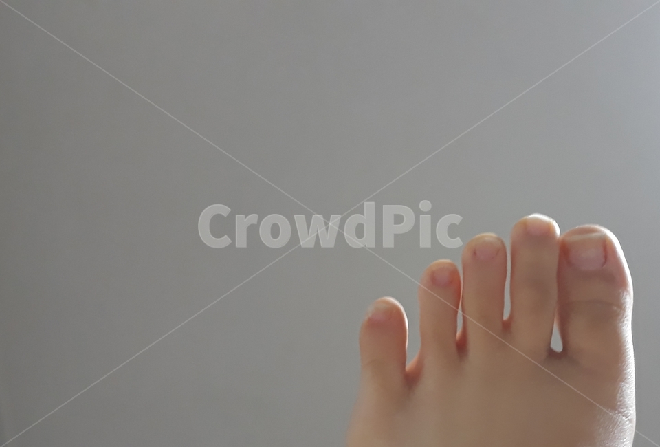 toe,발가락,human,인간,person,사람,발꾸락,꼼지락,발톱,발,여백의미,여백,배경,살색,가지런,온화,차분,사람,인물,인간,human,person,신체일부,몸,body
