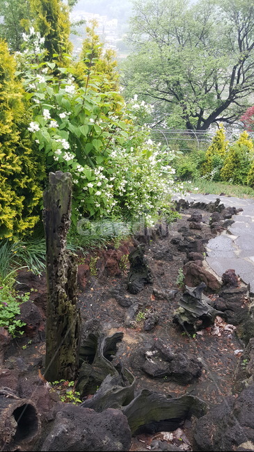 정원,나무,꽃,돌,길,garden,tree,flower,stone,road,path