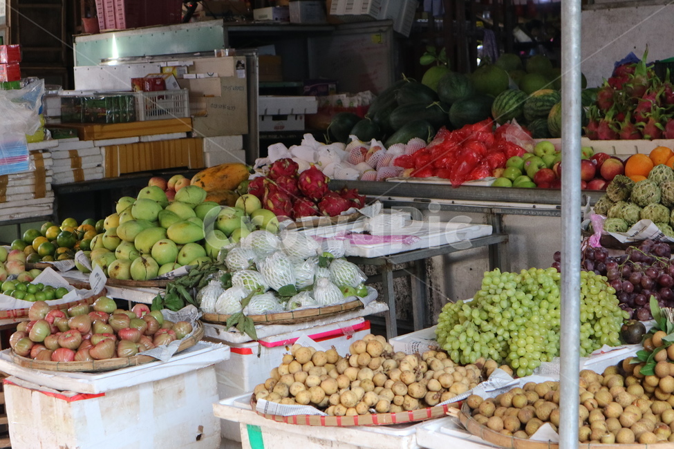 plant,식물,과일,fruit,mango,망고,리치,사과,apple,과일상점,상가,상점,판매점