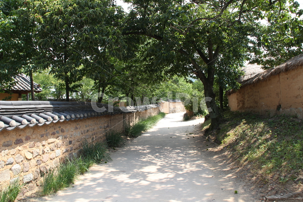 하회마을,한옥,전통가옥,양반가옥,돌담,전통,안동,한국,한국전통,한국문화,korean traditional,korean culture,건축물,건물외관,exterior,building,structure,architecture,construction