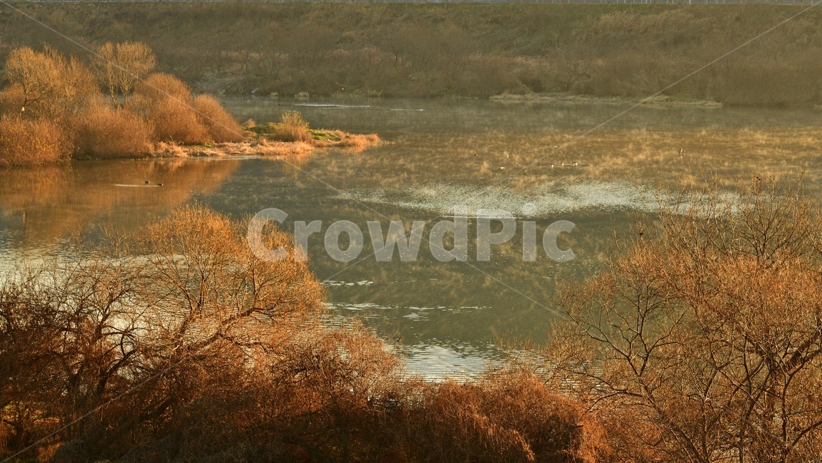 전남,곡성,섬진강,침실습지,곡성침실습지,물안개,nature,자연,weather,날씨,outdoors,옥외,fog,mist,안개,water,물,자연,풍경,nature,landscape