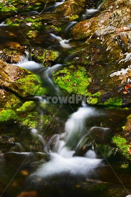 장성,백양사,계곡,폭포,물흐름,이끼계곡,이끼,water,물,nature,자연,outdoors,옥외,stream,흐름,자연,풍경,nature,landscape