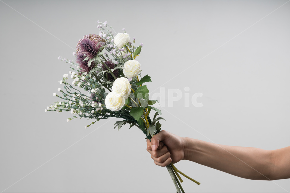 흰색,자연,녹색,장식,봄,식물,잎,디자인,꽃다발,결혼,계절,여름,야생화,줄기,신선하다,아름답다,향기,꽃,안개꽃,만개,나뭇잎,생명,부케,고백,사랑,선물,프로포즈,bouquetflowerbouquetlove,marriage,seasonal,summer,wildflower,stem,fresh,fragrance,petal,bloom,leaf,flower,life,bouquet,꽃,flower,사람,인물,인간,human,person,신체일부,몸,body